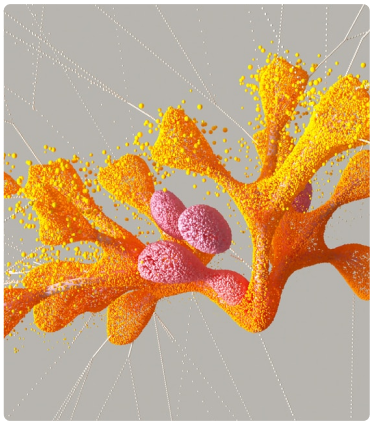 Discover & Collect Super Rare Digital Artworks